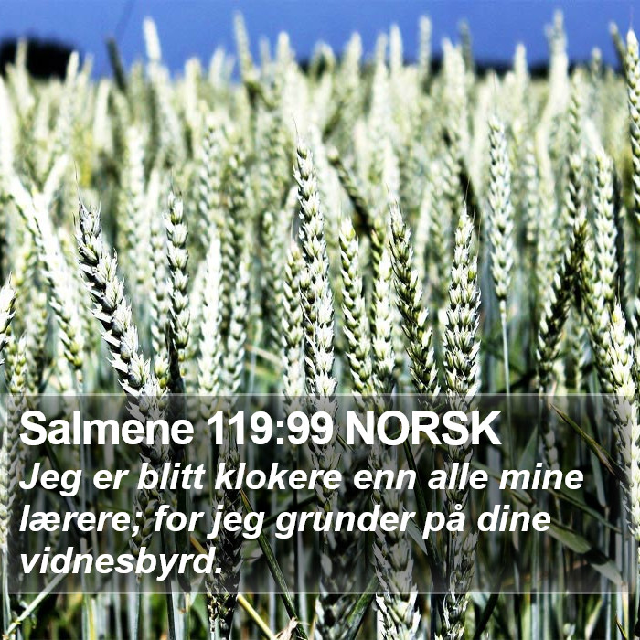 Salmene 119:99 NORSK Bible Study