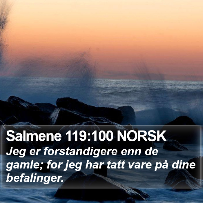 Salmene 119:100 NORSK Bible Study