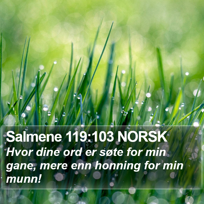 Salmene 119:103 NORSK Bible Study