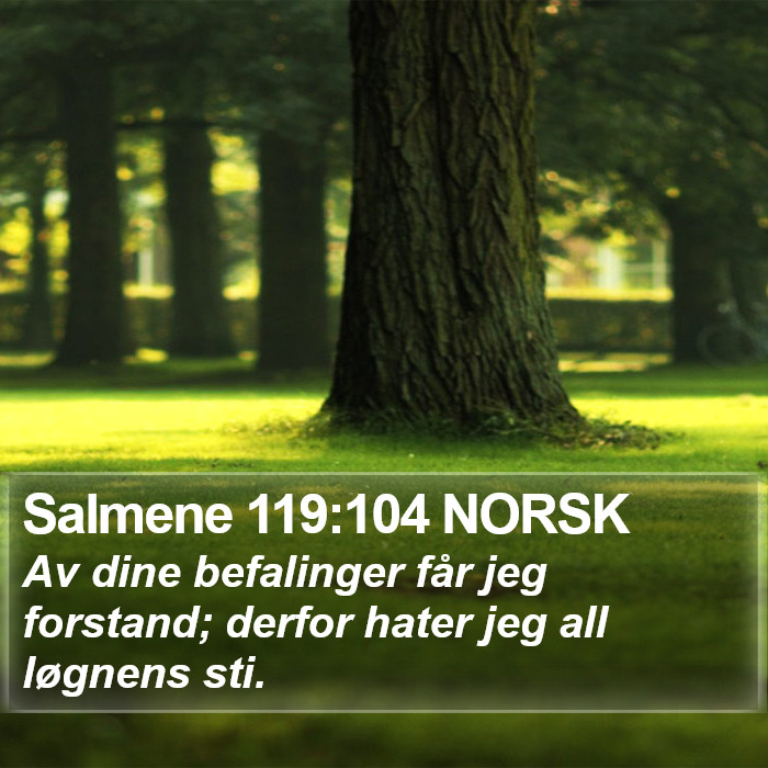 Salmene 119:104 NORSK Bible Study