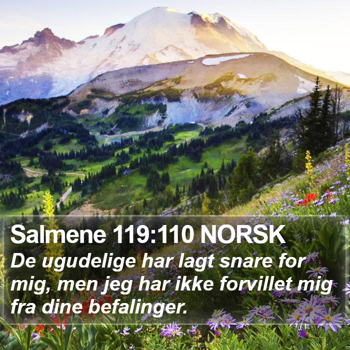 Salmene 119:110 NORSK Bible Study