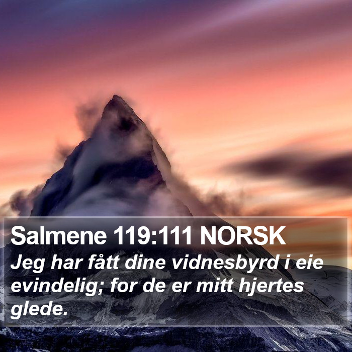 Salmene 119:111 NORSK Bible Study