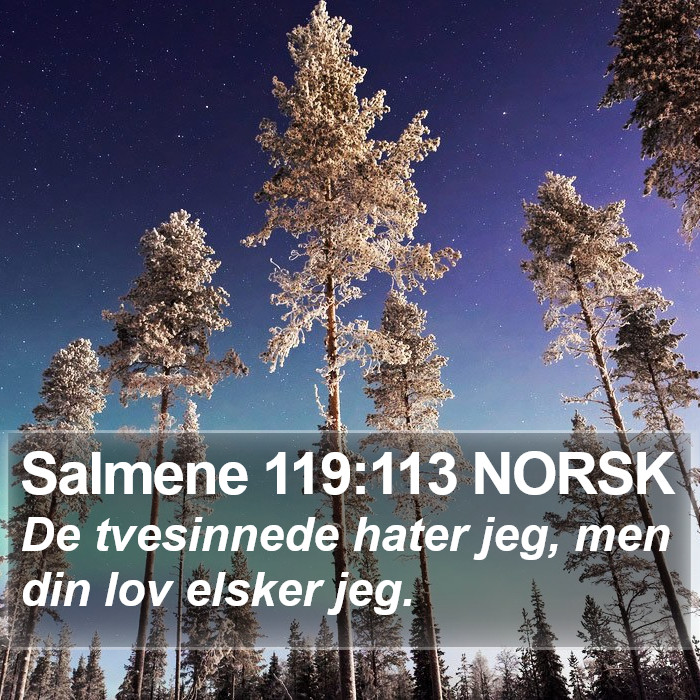 Salmene 119:113 NORSK Bible Study