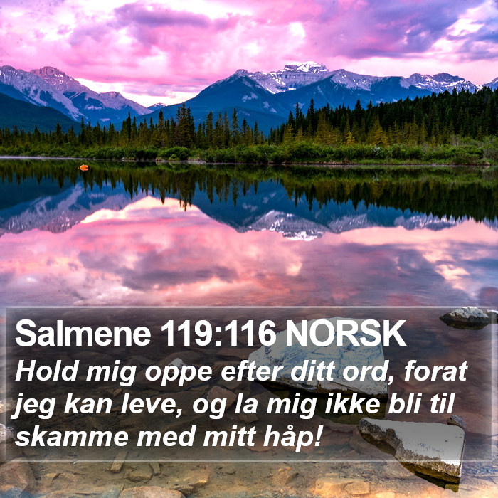 Salmene 119:116 NORSK Bible Study