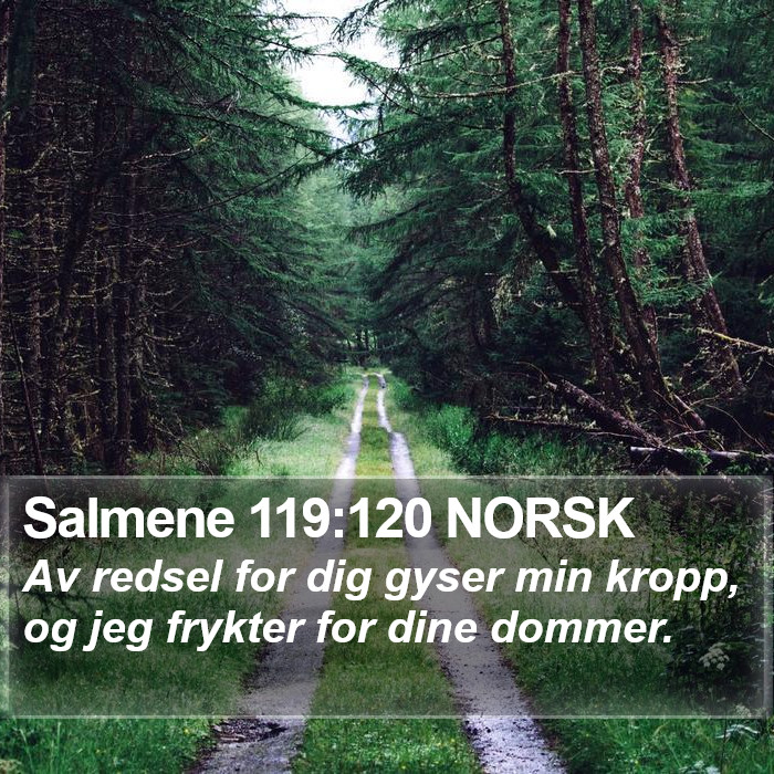 Salmene 119:120 NORSK Bible Study