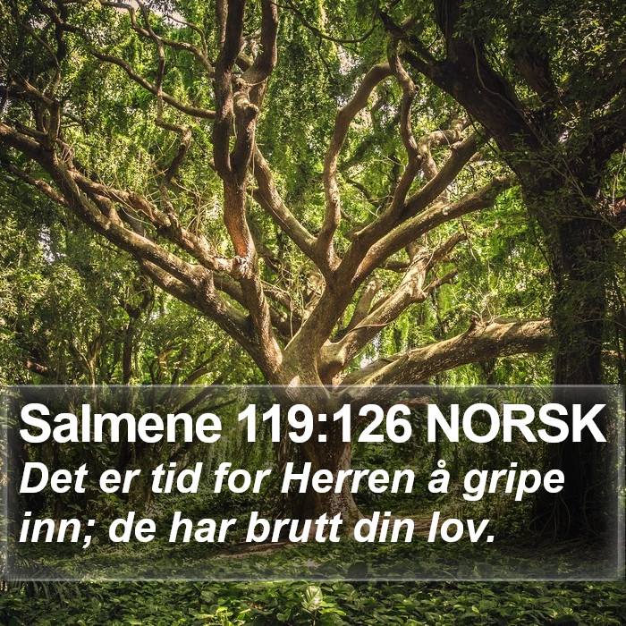 Salmene 119:126 NORSK Bible Study