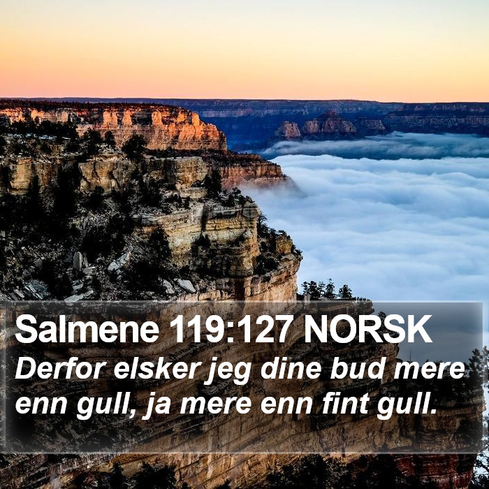 Salmene 119:127 NORSK Bible Study