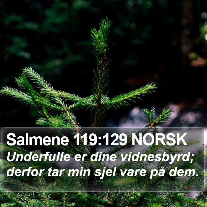 Salmene 119:129 NORSK Bible Study