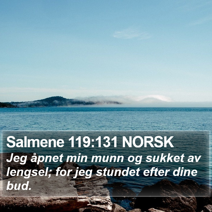 Salmene 119:131 NORSK Bible Study