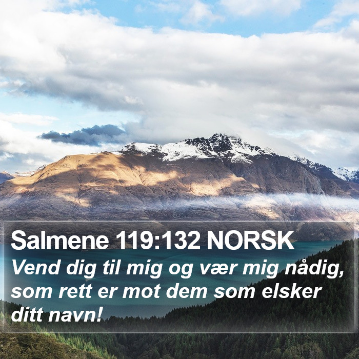 Salmene 119:132 NORSK Bible Study