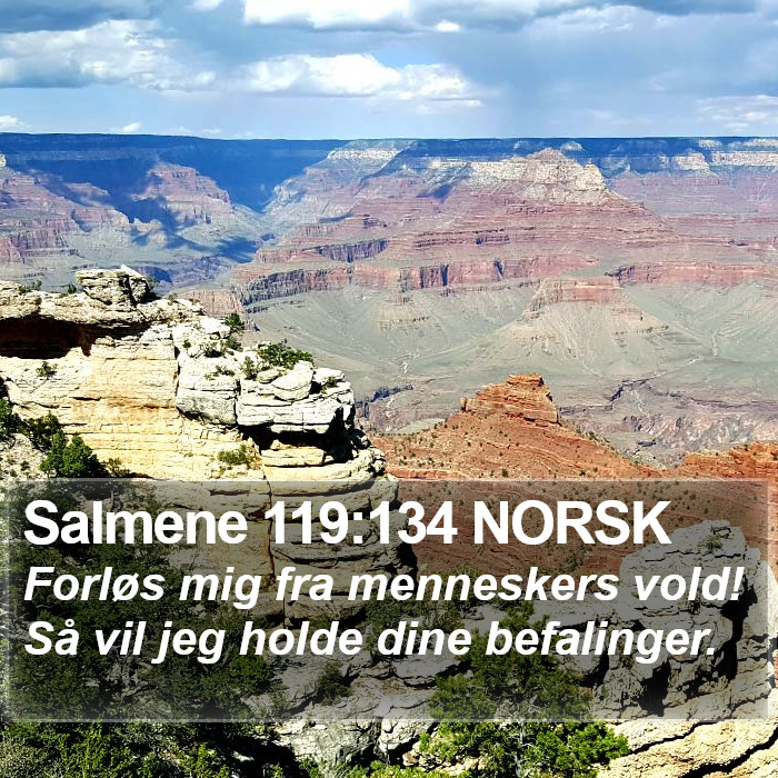 Salmene 119:134 NORSK Bible Study