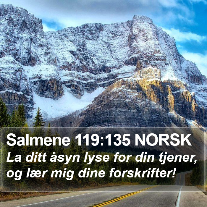 Salmene 119:135 NORSK Bible Study