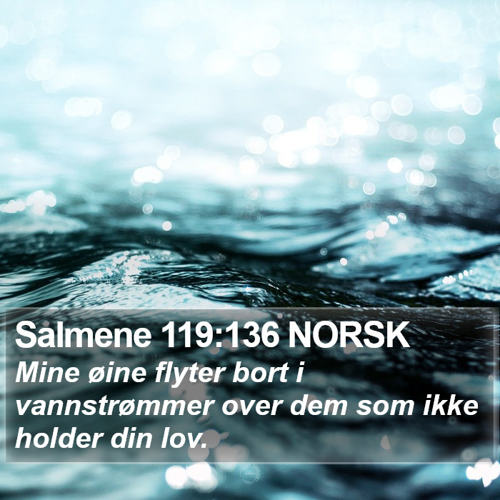 Salmene 119:136 NORSK Bible Study