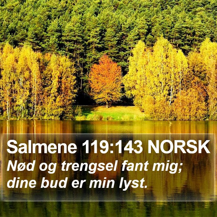 Salmene 119:143 NORSK Bible Study