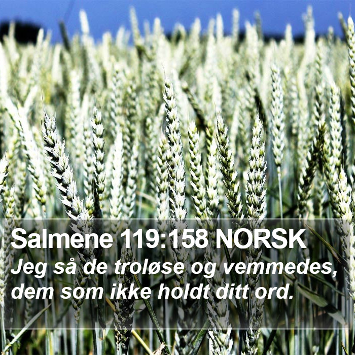 Salmene 119:158 NORSK Bible Study