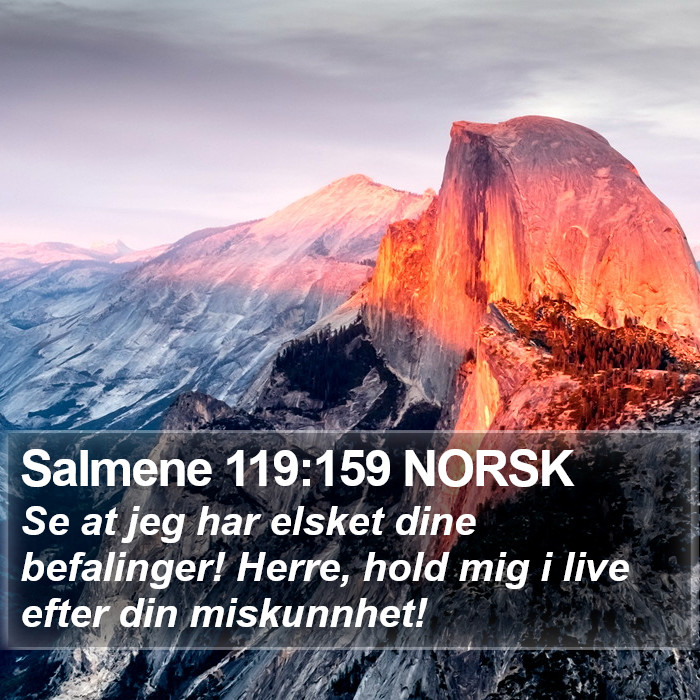 Salmene 119:159 NORSK Bible Study