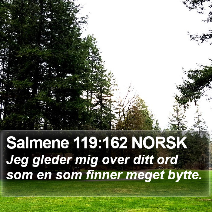 Salmene 119:162 NORSK Bible Study