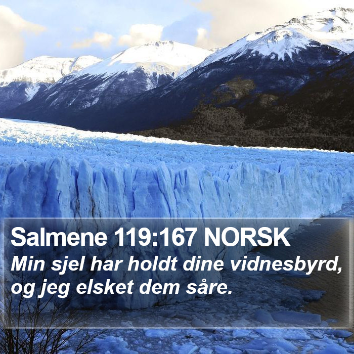 Salmene 119:167 NORSK Bible Study