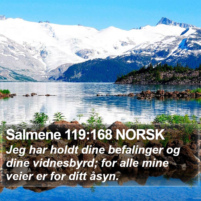 Salmene 119:168 NORSK Bible Study