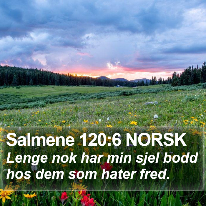 Salmene 120:6 NORSK Bible Study