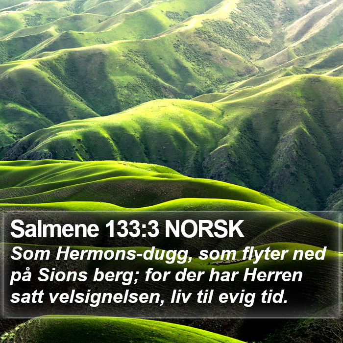 Salmene 133:3 NORSK Bible Study