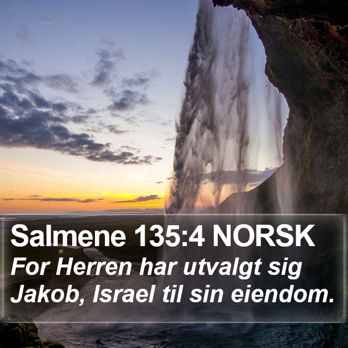 Salmene 135:4 NORSK Bible Study