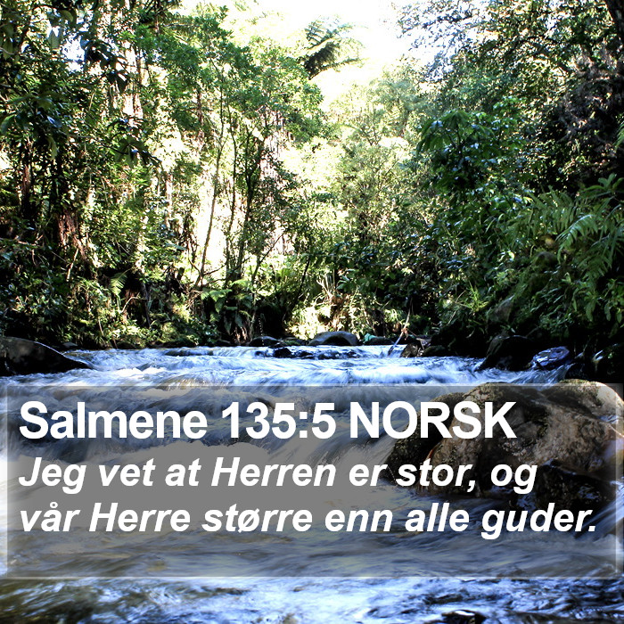 Salmene 135:5 NORSK Bible Study