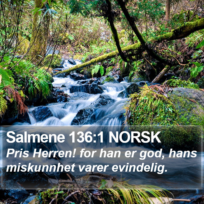 Salmene 136:1 NORSK Bible Study