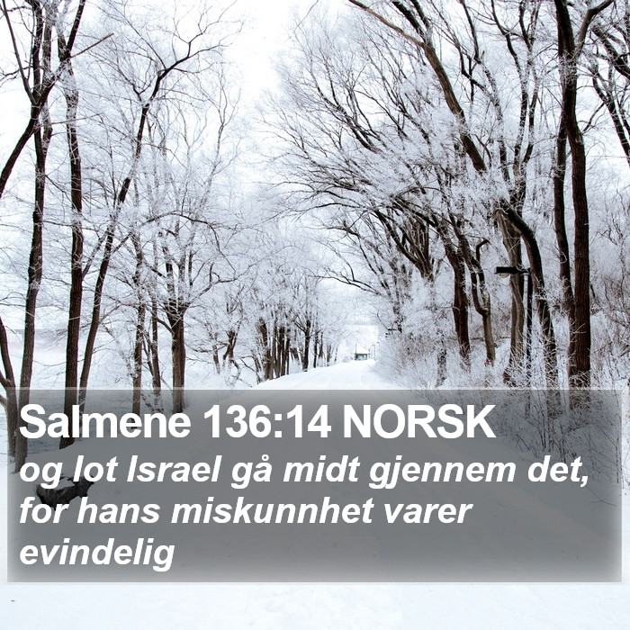 Salmene 136:14 NORSK Bible Study