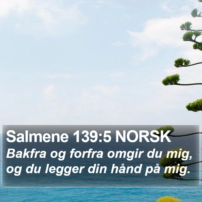 Salmene 139:5 NORSK Bible Study