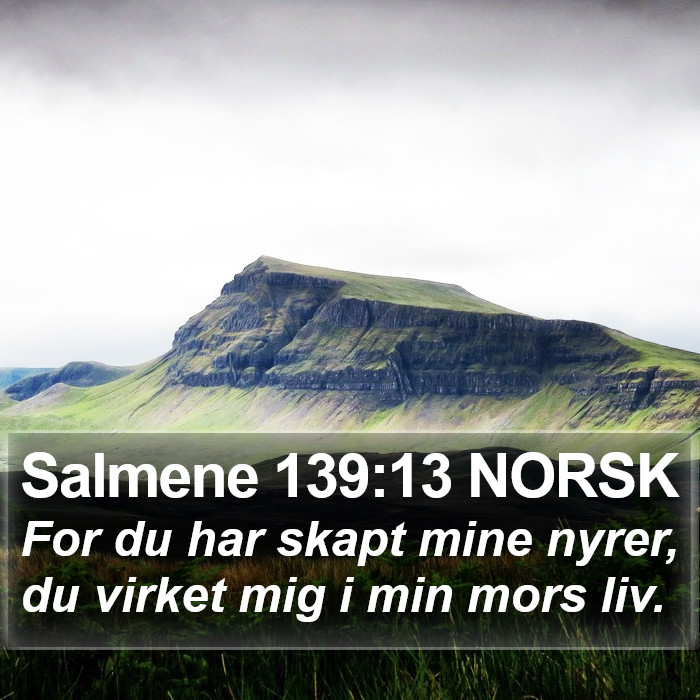 Salmene 139:13 NORSK Bible Study