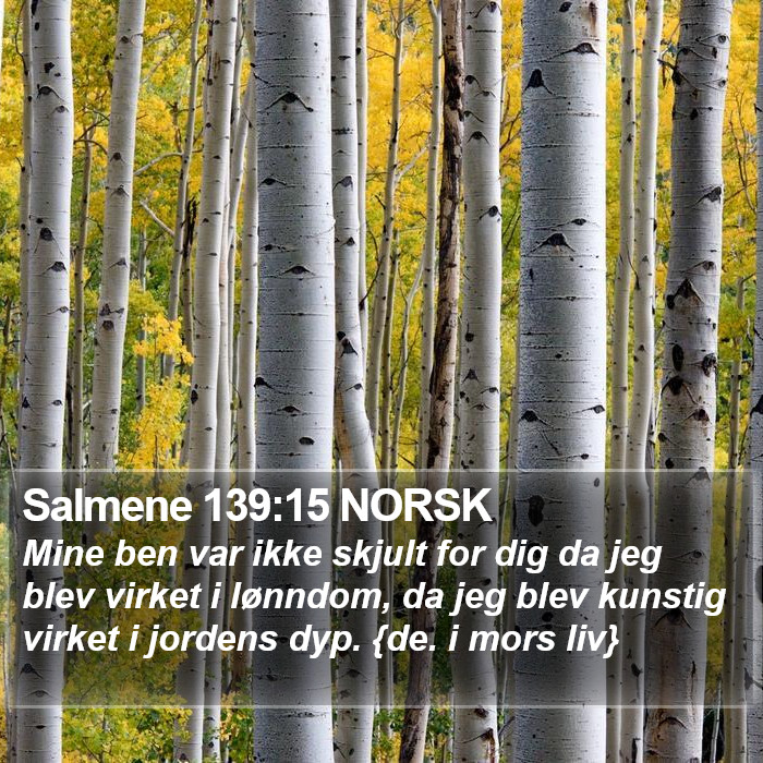 Salmene 139:15 NORSK Bible Study