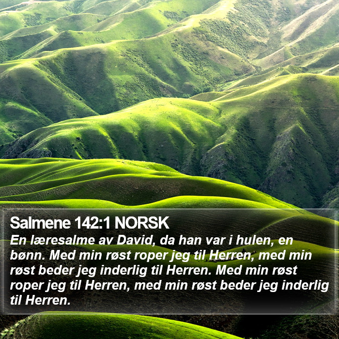 Salmene 142:1 NORSK Bible Study