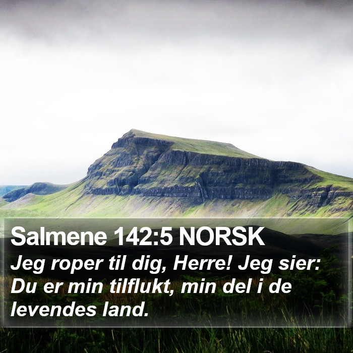 Salmene 142:5 NORSK Bible Study