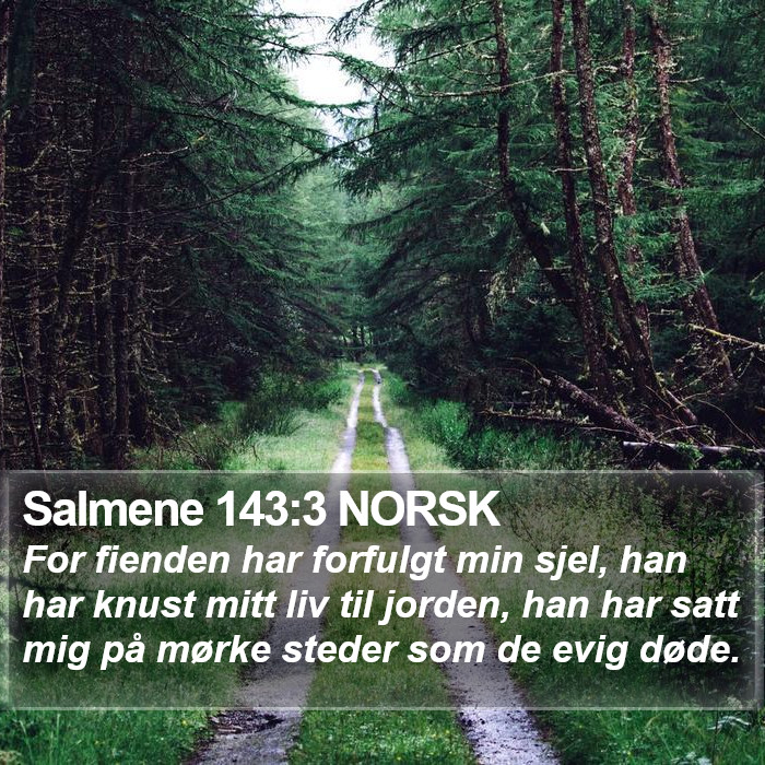 Salmene 143:3 NORSK Bible Study