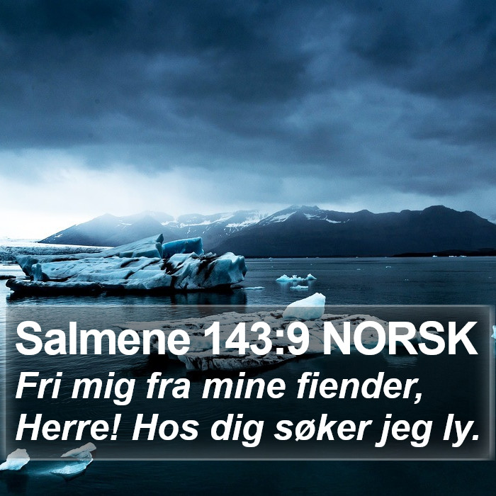 Salmene 143:9 NORSK Bible Study