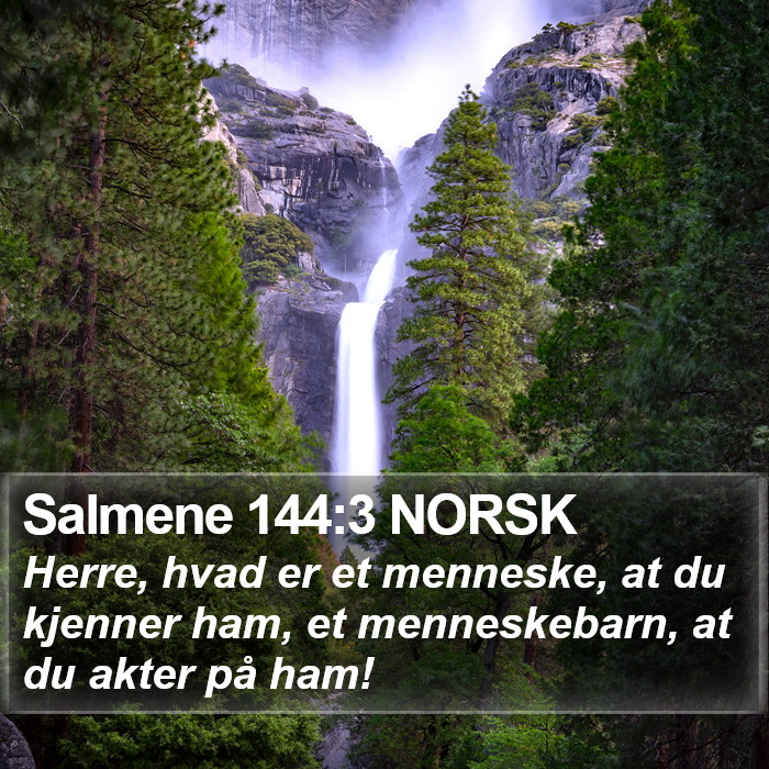 Salmene 144:3 NORSK Bible Study