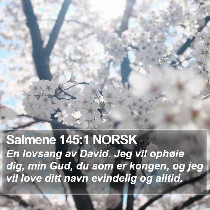 Salmene 145:1 NORSK Bible Study