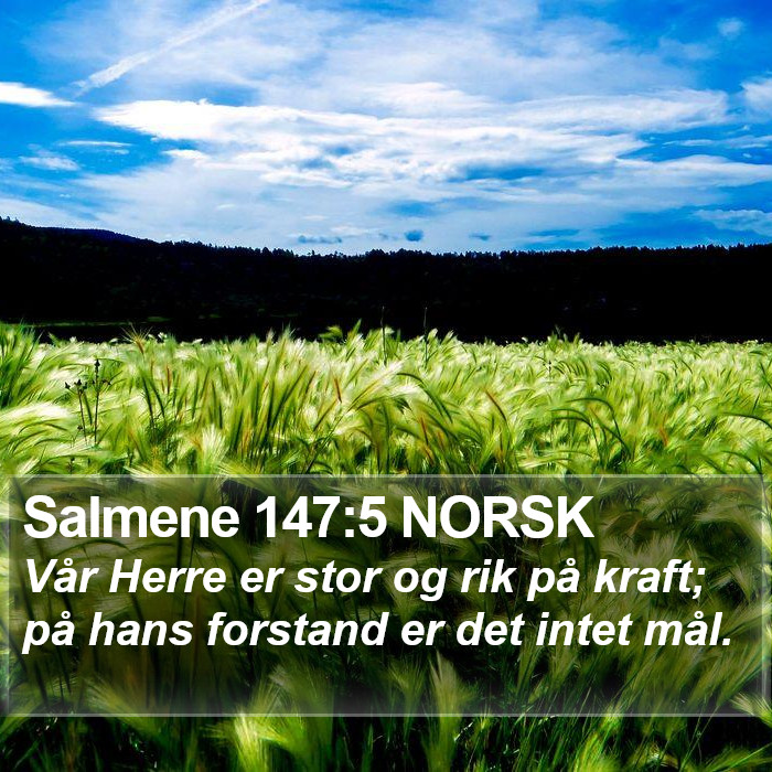 Salmene 147:5 NORSK Bible Study