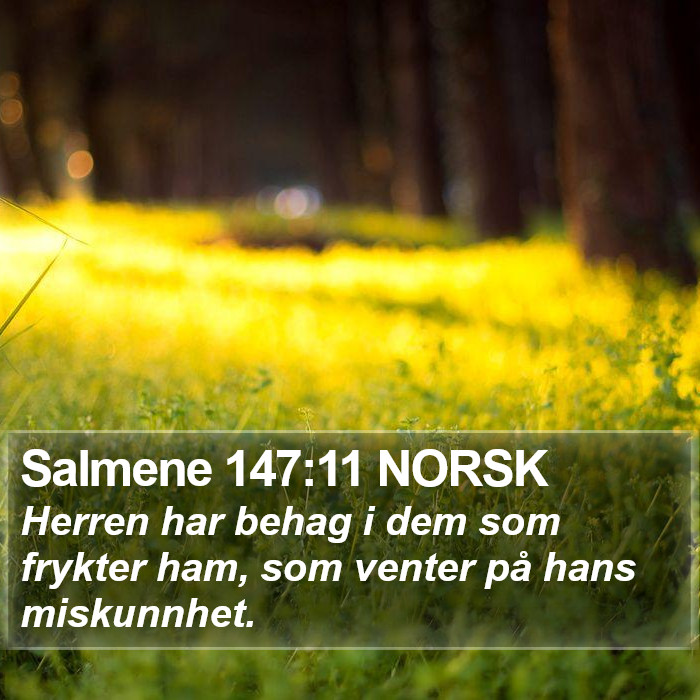 Salmene 147:11 NORSK Bible Study