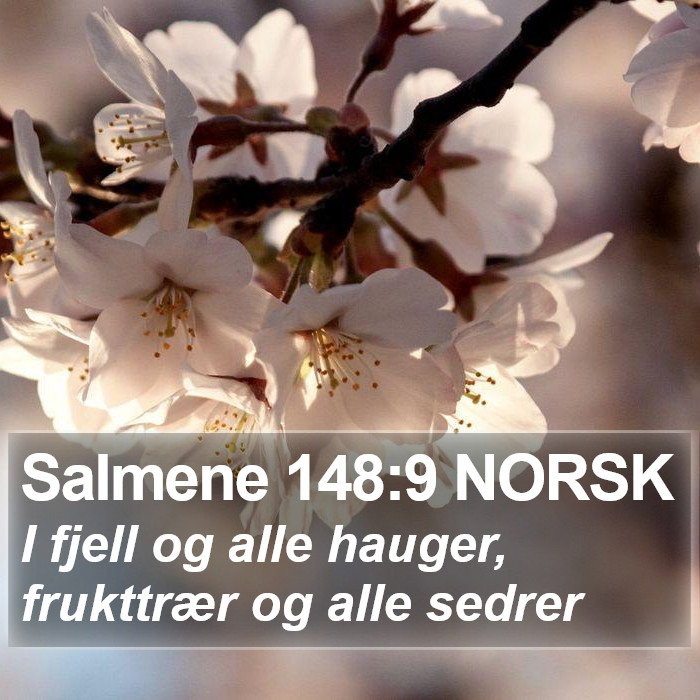 Salmene 148:9 NORSK Bible Study