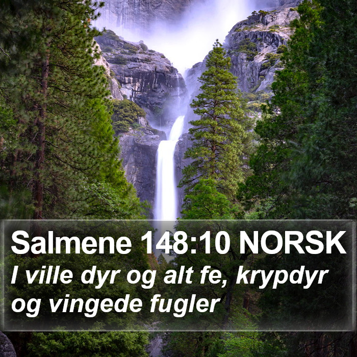 Salmene 148:10 NORSK Bible Study