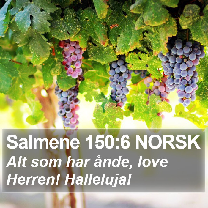 Salmene 150:6 NORSK Bible Study