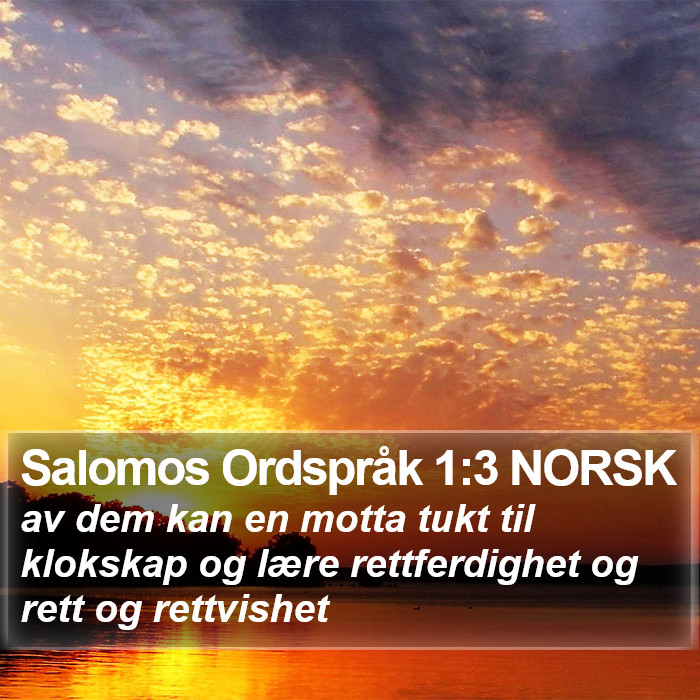 Salomos Ordspråk 1:3 NORSK Bible Study