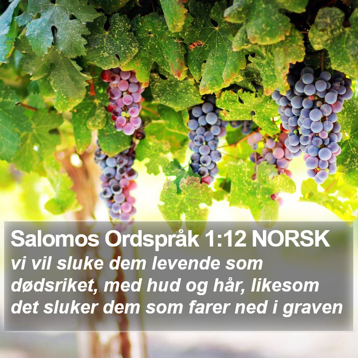 Salomos Ordspråk 1:12 NORSK Bible Study