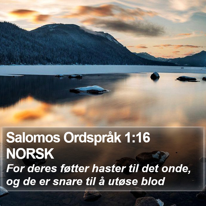 Salomos Ordspråk 1:16 NORSK Bible Study