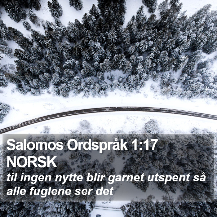 Salomos Ordspråk 1:17 NORSK Bible Study