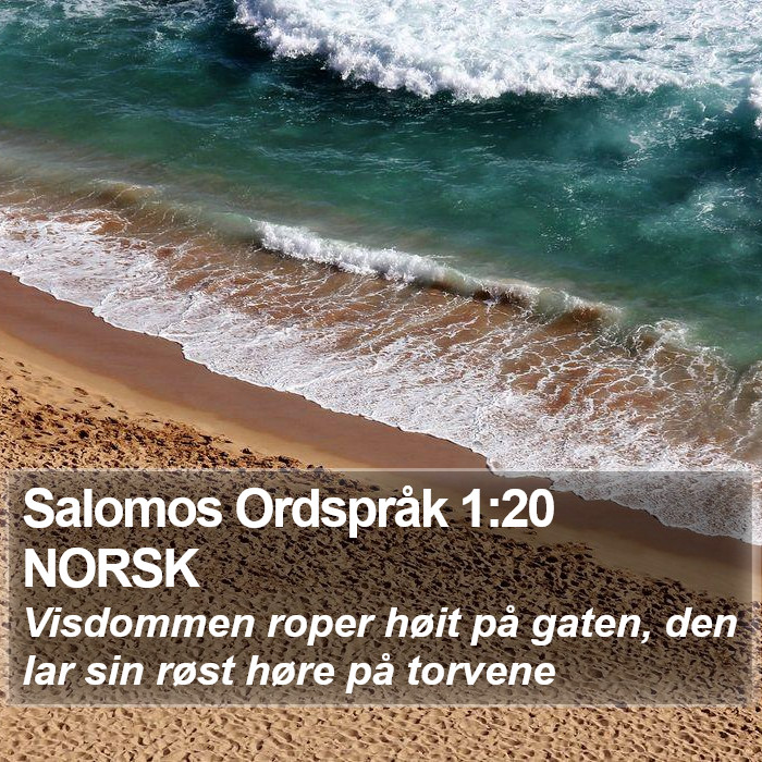 Salomos Ordspråk 1:20 NORSK Bible Study