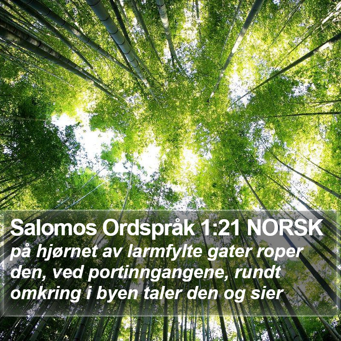 Salomos Ordspråk 1:21 NORSK Bible Study