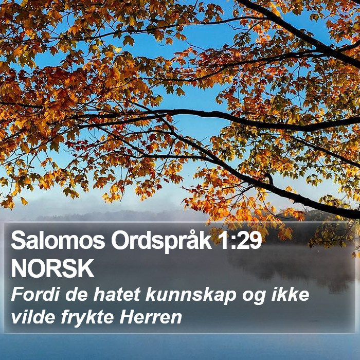 Salomos Ordspråk 1:29 NORSK Bible Study